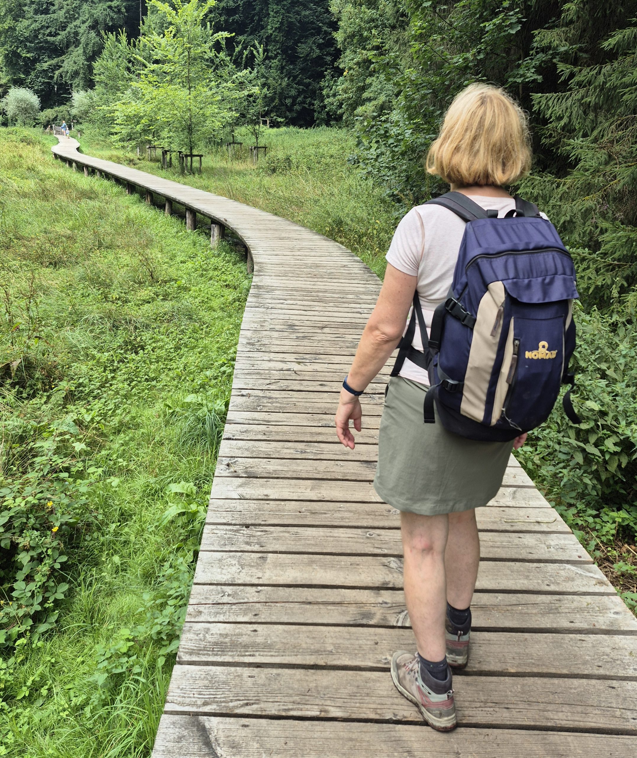 walking bridge on a beach